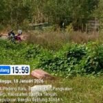 IMG-20260124-WA0059(1)